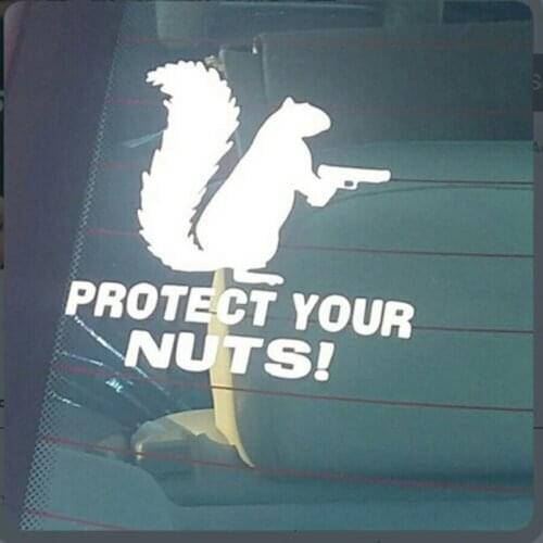 Protect Your Nuts Squirrel Police Army Navy Marines Car Stickers And Decals Creative Sticker
