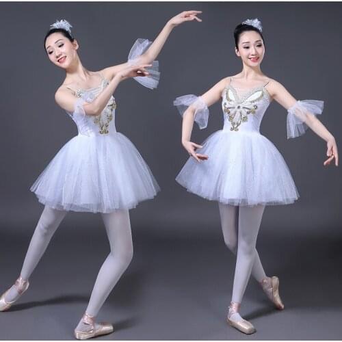 2021 Professional Ballet Leotards For Women Adult Romantic Ballet Tutu Rehearsal Long Tulle Practice Skirt Ballet Dress