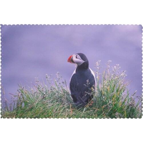 Set of 6 Puffin Bird Grass Placemats for Dining Table Place Mat in Kitchen Accessories Cup Wine Mat