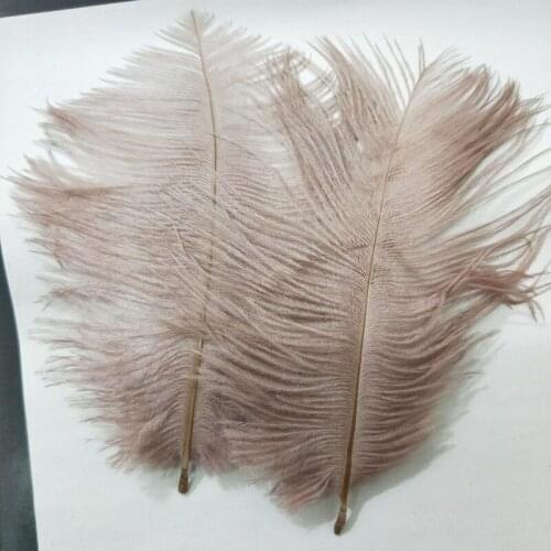 High Quality New 10pcs High Quality Deep apricot ostrich feathers 6-8 inches/15-20 cm for Party/wedding Decoration