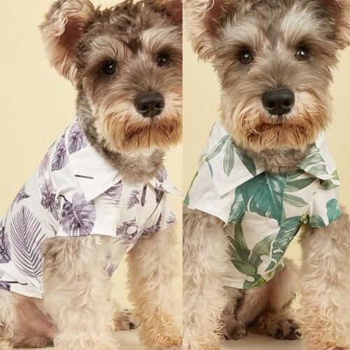 4 Sizes Close-fitting Turndown Collar Dog Costume Blouse Photography Prop Puppy Shirt Button Closure for Pet