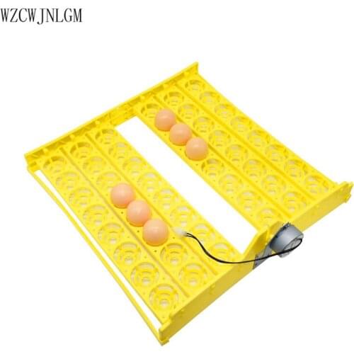 48 Eggs Automatic Incubator Egg Tray Egg Incubator 110v / 220v Motors New Incubation Equipment Poultry supplies 2set