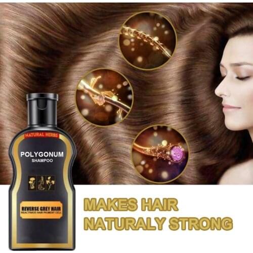 Hair Shampoo Black Color Anti Gray Hair Treatment White Removal Natural Herbal Hair Shampoo Polygonum Multiflorum Ginger 30ml