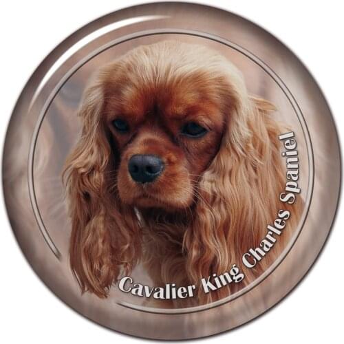 B0804# 13CM/17CM Self-Adhesive Decal Cavalier King Charles Spaniel Dog V4 Car Sticker Decors on Bumper Rear Window Laptop