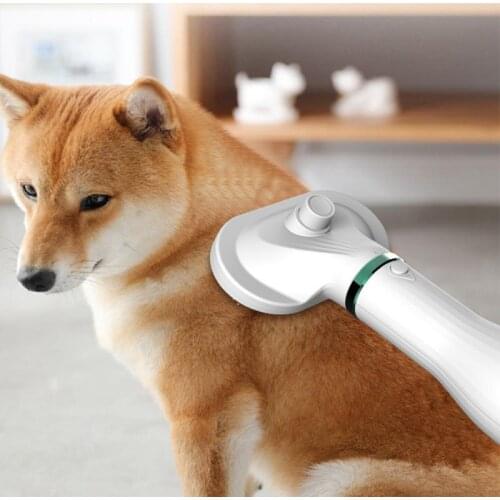 2 In 1 Pet Electric Blowing Comb For Dogs Cat Quick Hair Dryer Slicker Brush Dog Brush Comb Massage Pet Hair Dryer Pet Grooming