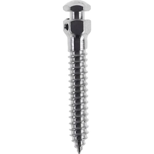 2021 New Dental Micro Implants Screw Self Drilling Thread Orthodontic Anchorage