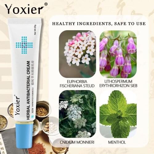 Health Care Skin Fungus Anti Bacterial Cream Natural Chinese Herbs Cream Onitment for Psoriasis Dermatitis Eczema Treatm
