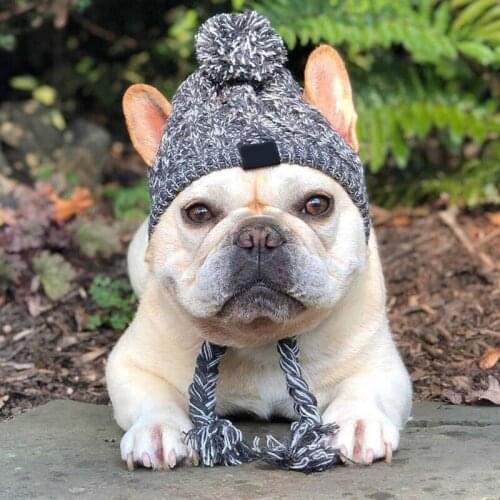 A Winter Warm Pet Dog Knitted Hat Windproof Headwear For Autumn Cat Hat Puppy Small Animals Pet Products Knitted Heagear