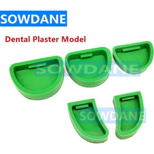 5Pcs/set Dental Lab Tool Silicone Rubber Base Former Mould Plaster Gypsum Carving Model Former Base Mold