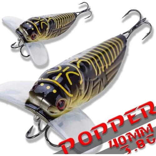 1PCS Fishing Lure Cicada Floating Lscas Artificial Bait 55mm 8.5g 40mm 3.8g Pesca Fish Popper Lure Topwater Stomach Insect