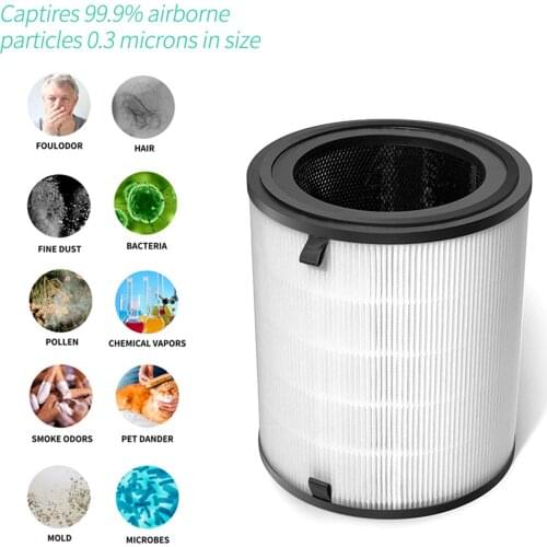 Air Purifier Replacement Filter, True HEPA Filters Caring, Air Cleaner Filter for Levoit -H133-RF