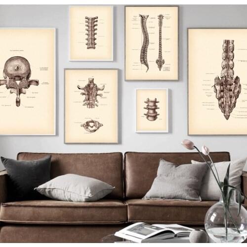 Human Anatomy Artwork Medical Wall Art Picture Skeleton Nordic Vintage Posters And Prints Education Retro Canvas Painting Decor
