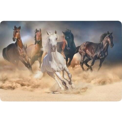 Wilf Animal Anti-slip Door Mat Home Decor, Horse Herd Running in Desert Nature Landscape Indoor Outdoor Entrance Doormat Rubber
