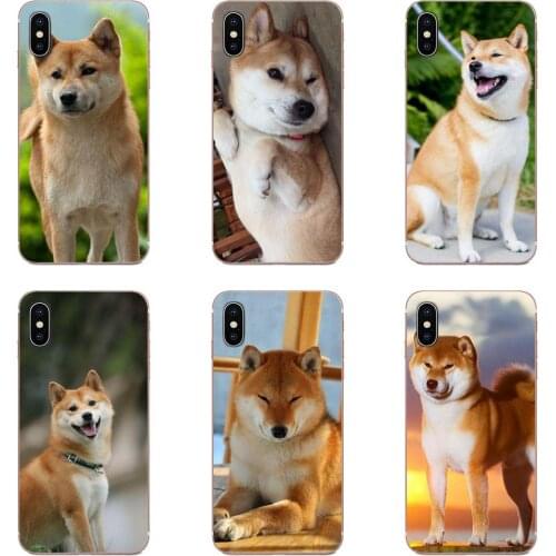 Brushwood Doge Shiba Inu Funny Dog Soft Covers For Xiaomi Mi CC9 CC9E 9T mi10 mi9 mi8 note 9 10 pro lite SE Mi A1 A2 A3