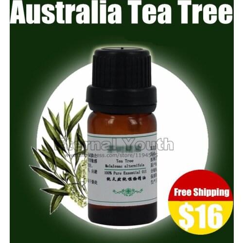 100% Pure Australia Tea Tree Essential Oil Unilateral Shrink Dredge Pores Acne Product 10ml Oil Control Scar