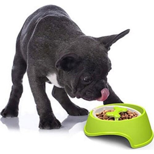 Pet Slow Feeder Dog Cat Training Food Bowl Puppy Kitten Feeding Avoid Choke Feeder Prevent From Choking Eating Too Fast