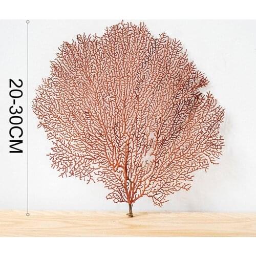 Natural Red Sea Willow Conch Shell Tree Submarine Coral Tree Framed Photo Frame Decoration Landscaping Home