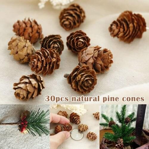 Nature Pinecones Pine Cones Lodge Pole Decorative Fall Winter Holiday Home Decor Christmas Tree Ornaments 30pcs SDF-SHIP