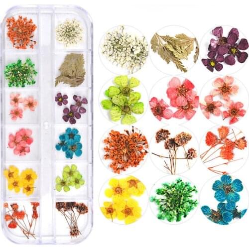 Faylisvow Materials For Nail Design