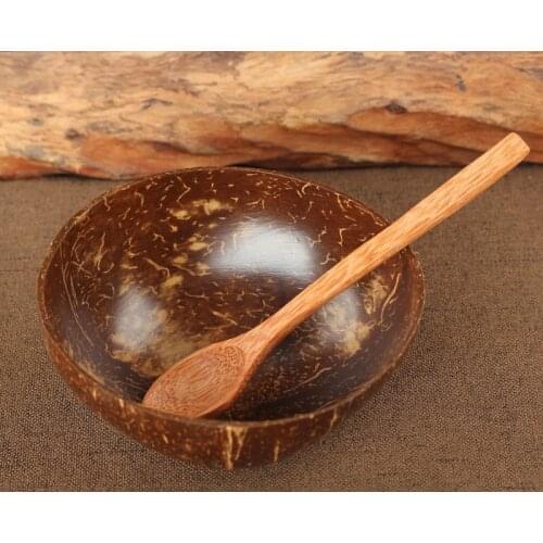 Natural Log Coconut Shell Bowl Handicraft Tableware Spoon Dessert Fruit Salad