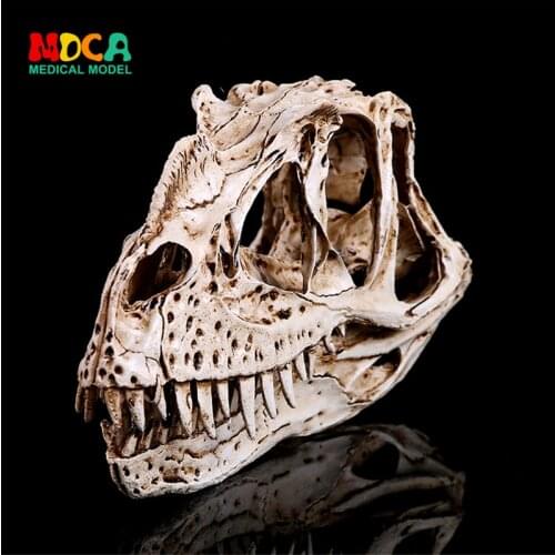 Horns dinosaur skull resin skull and head creative home furnishing ornaments personal ornaments KLGT017