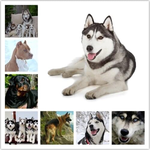 DIY Diamond Painting Cross-Stitch Animal Dog Mosaic Crystal Interesting husky Kit Embroidery Picture Rhinestone craft new 3690