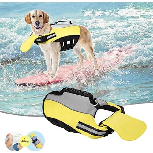 Gabe Clothes And Footwear For Dogs