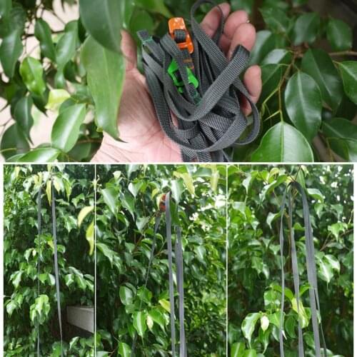 250CM Load 125kg Durable Nylon Cargo Tie Down Luggage Lash Belt Strap with Cam Buckle Travel Kits Camping luggage strap