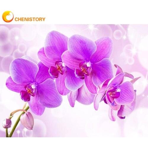 CHENISTORY Frame Painting By Number For Adults Flowers Orchid Acrylic Drawing Coloring By Numbers Modern Wall Art Picture For Gi