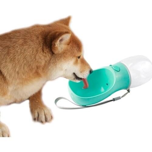 STMANTV Products For Dogs