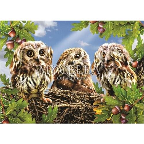5D DIY Diamond Painting Birds Owls Animals Christmas Gift Full Diamond Embroidery Cross Stitch Mosaic Home Decor Wall Stickers