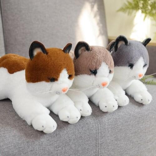 1pc 40cm Simulation Brown&Grey Cat Plush Toy Blue Sequins Eyes Cat Doll Brown and White Face Ragdoll Cats Home Decor Cute Gift
