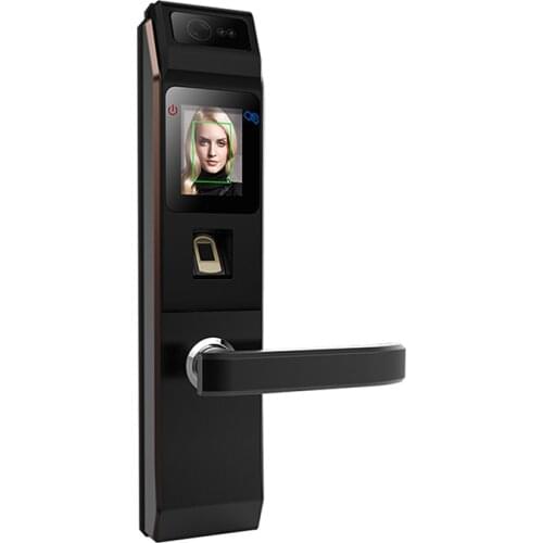 Eseye Anti-Theft 304 Stainless Steel Smart Digital Door Lock Smart Face Recognition Door Lock