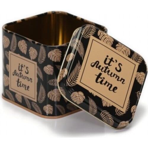 ALASSO ekmek kutusu dolap demir aperatif kutusu masaüstü bitirme toz geçirmez saklama kutusu depolama kutusu kaleci gıda yapılan