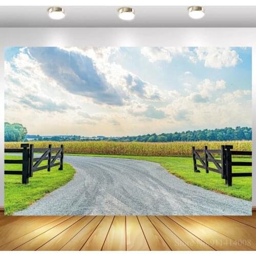 Stone Road Way Outskirts Scenic Photography Backdrop White Cloud Sky Kids Portrait Photo Background For Studio Photoshoot