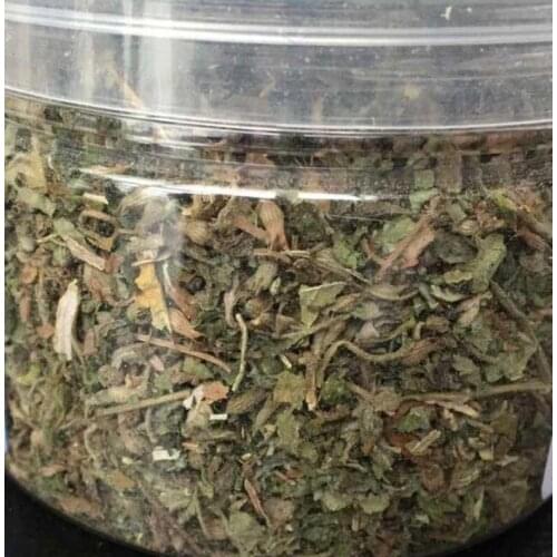 Catmint Herbal Leaf Food for Cat High Quality Healthy Food Catnip Organic Leaf Mint