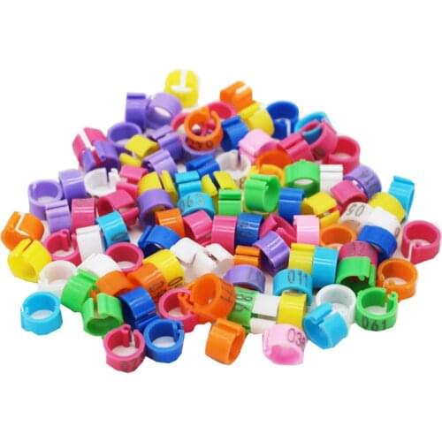 8mm Identify Ring Carrier Pigeon Training Supplies Leg Number Bird Bands 100 Pcs