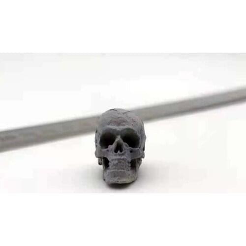Tbleague 1/12 Scale Grey Human Skeleton Skull Model Toys Action Figure Scene Accessories