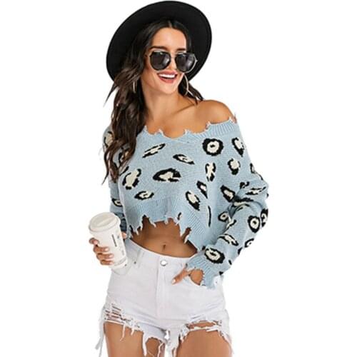 Leopard Sweater 2020 Lady Deep V Neck Short-length Hipster Street Sweaters Broken Women Sexy Long-sleeve Basic Light Blue Top