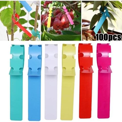 100Pcs Plant Tags Garden Plant Tree Hang Name Labels Nursery Waterproof Marker Prompt Signs Classification Tool