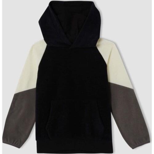 DeFacto Sweatshirts For Boys