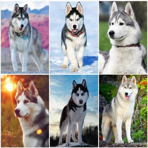 5D DIY Diamond Painting Husky Wolf Dog Cross Stitch Animal Diamond Embroidery Kit Handicrafts Home Decor Mosaic Rhinestones Art