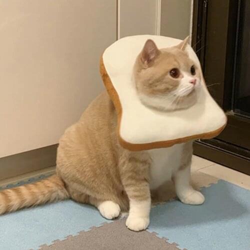 Soft Pet Elizabethan Collar Toast Shaped Dog Cat Wound Healing Neck Cone for Anti-Bite Lick Surgery Recovery Pets E-Collar