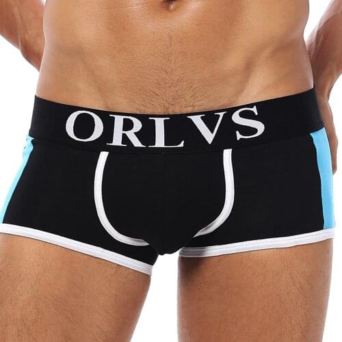 ORLVS Mesh Boxershorts Men Comforable Panties Set Gay Sexy Underwear Man Boxer5Color Free Shipping 2021Hot M/L/XL/XXL OR101