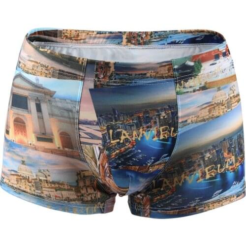 LANVIBUM Men's Briefs