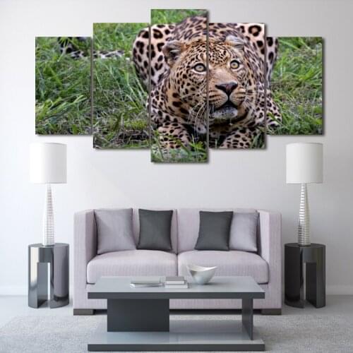 5pcs Diamond Painting Forest Cheetah Full Square Round Diamond Pattern Embroidery Cross Stitch 5D Rhinestone A919