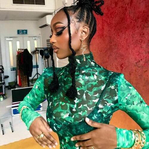 European and American womens 2021 autumn new printed half-high collar long-sleeved irregular mesh top T-shirt