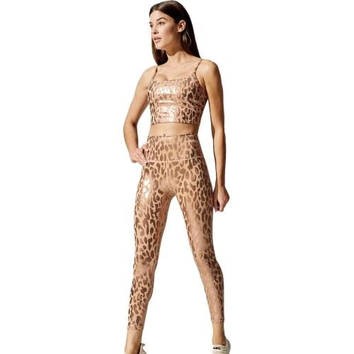 GXQIL Bronzing Leopard Yoga Sets Women Gym Clothes Sportwear Training Suit for Fitness Workout Sport Outfit Women Active Wear