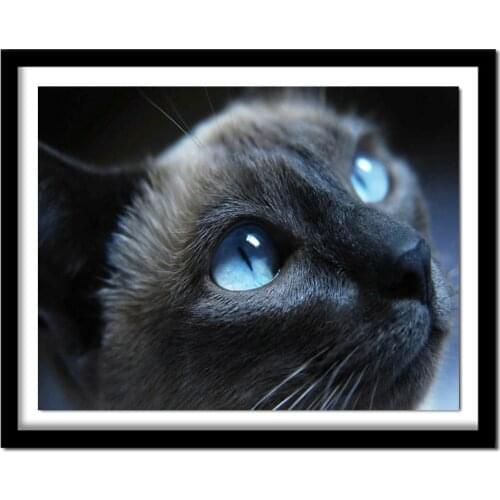 Diamond painting Cross stitch kit animal DIY Diamond embroidery Black cat 3D Full square Diamond Diy Diamond Drawing