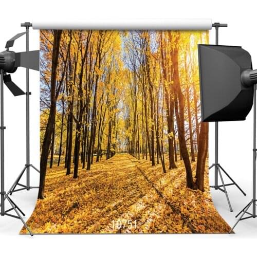 Custom Vinyl Cloth Photography Backdrops Autumn Fallen Leaves Forest Children Wedding for Photo Studio Background